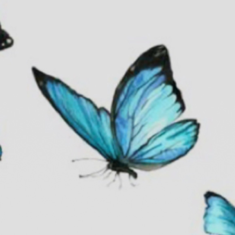 Meet your Posher, Aubrielle